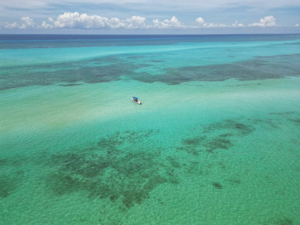 Snorkeling Cozumel El cielo