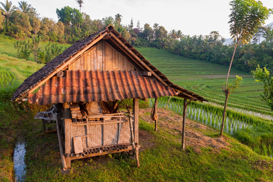 Rizières de Belimbing à Bali