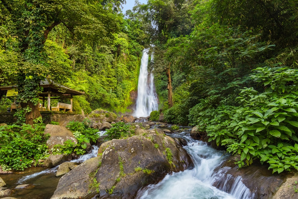 Cascade Bali : Les plus belles cascades de Bali