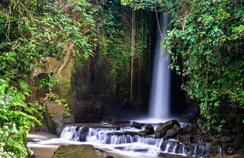 Cascade Bali : Les plus belles cascades de Bali