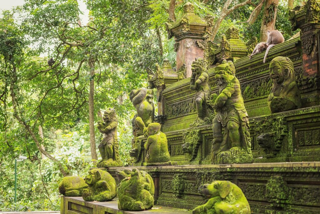 Forêt d'Ubud