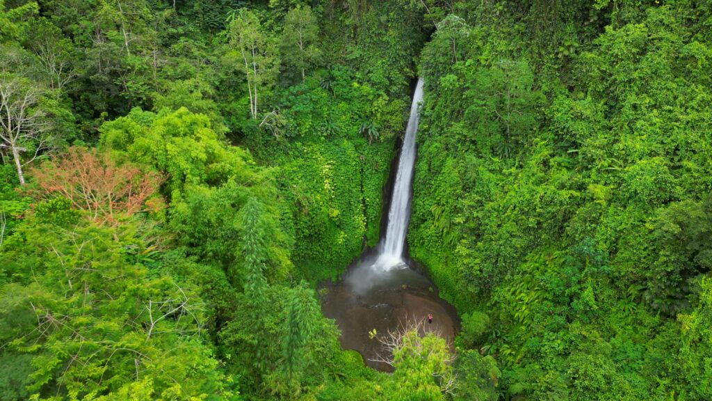 Cascade Bali : Les plus belles cascades de Bali