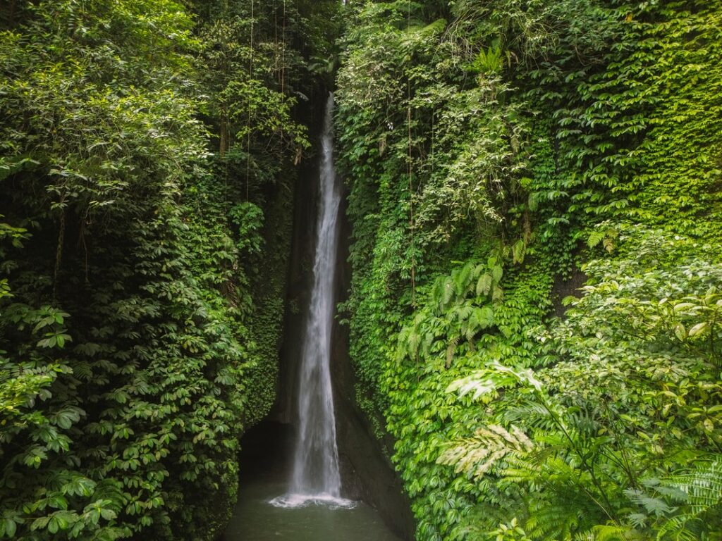 Cascade Bali : Les plus belles cascades de Bali