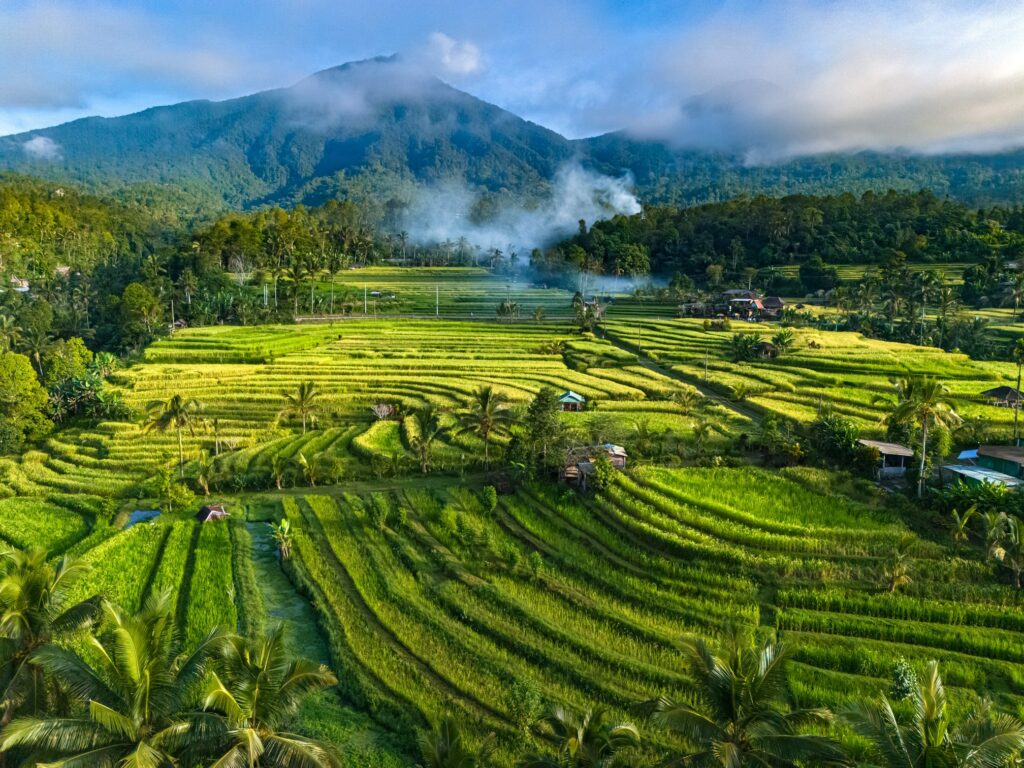 Bali rizière : Les plus belles rizières de Bali 😍