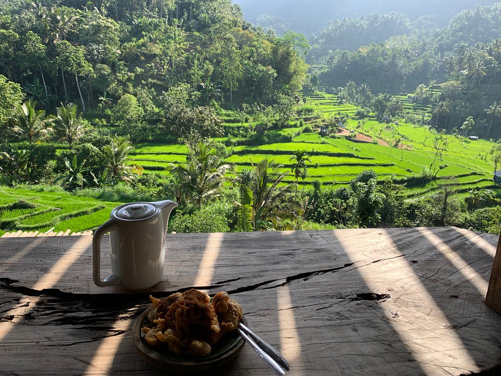 Bali rizière : Les plus belles rizières de Bali 😍