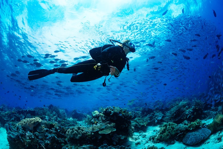 Snorkeling