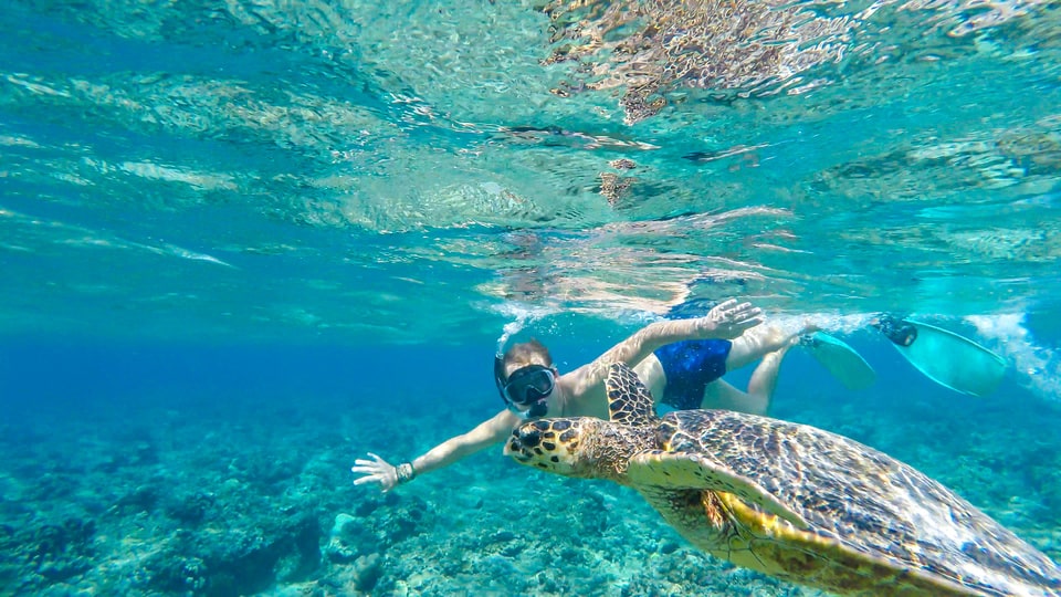 Plongée et snorkeling à Blue Lagoon - Candidasa