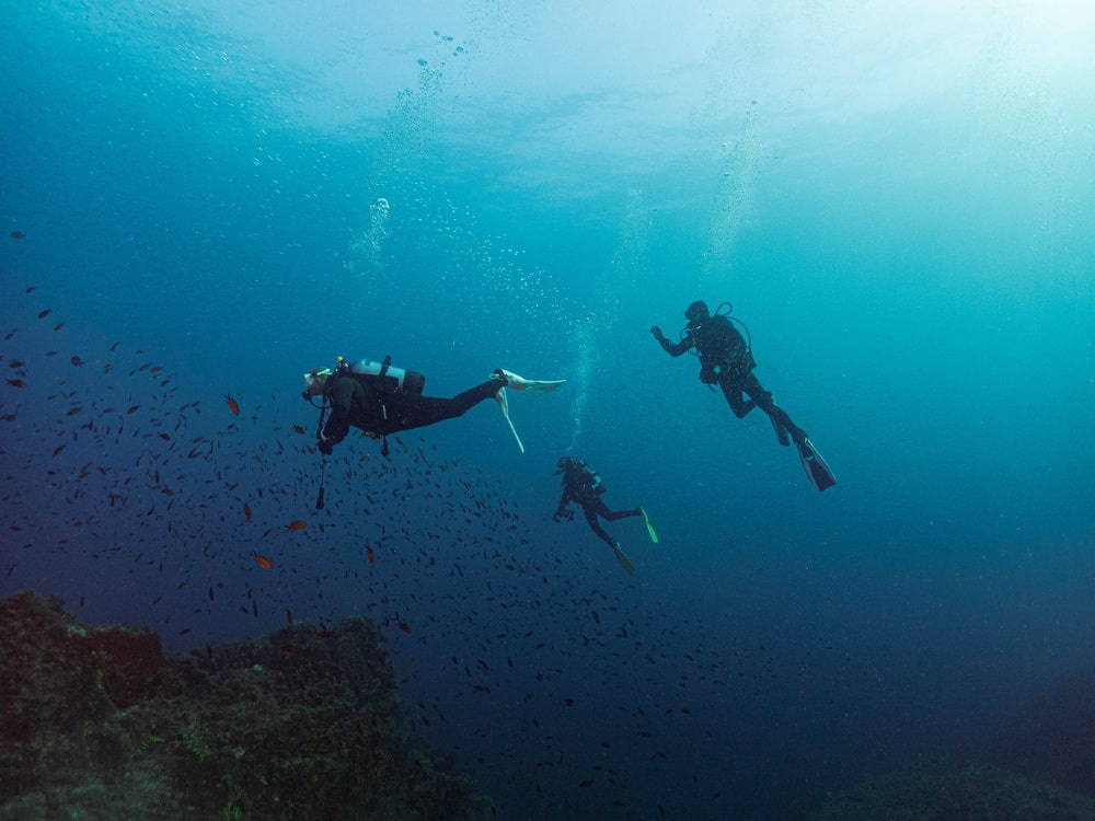 Plongée sous-marine 