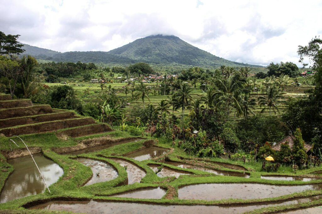 Pura Luhur Batukaru : Un Temple Caché au Cœur de Bali