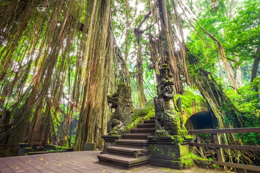 Forêt des singes d'Ubud