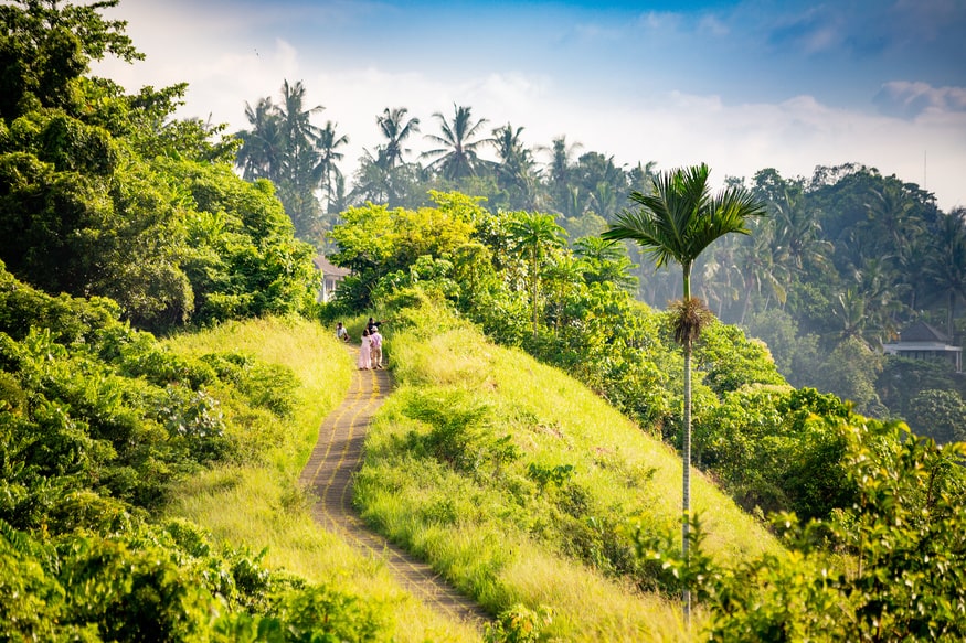 Campuhan ridge walk