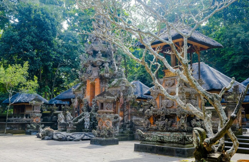 Forêt des singes d'Ubud