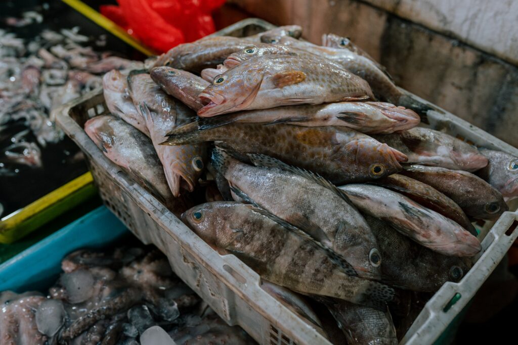 Étale de poisson au marché