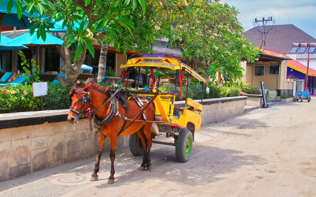 Caleches Îles Gili 