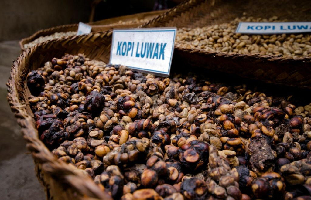 Kopi Luwak