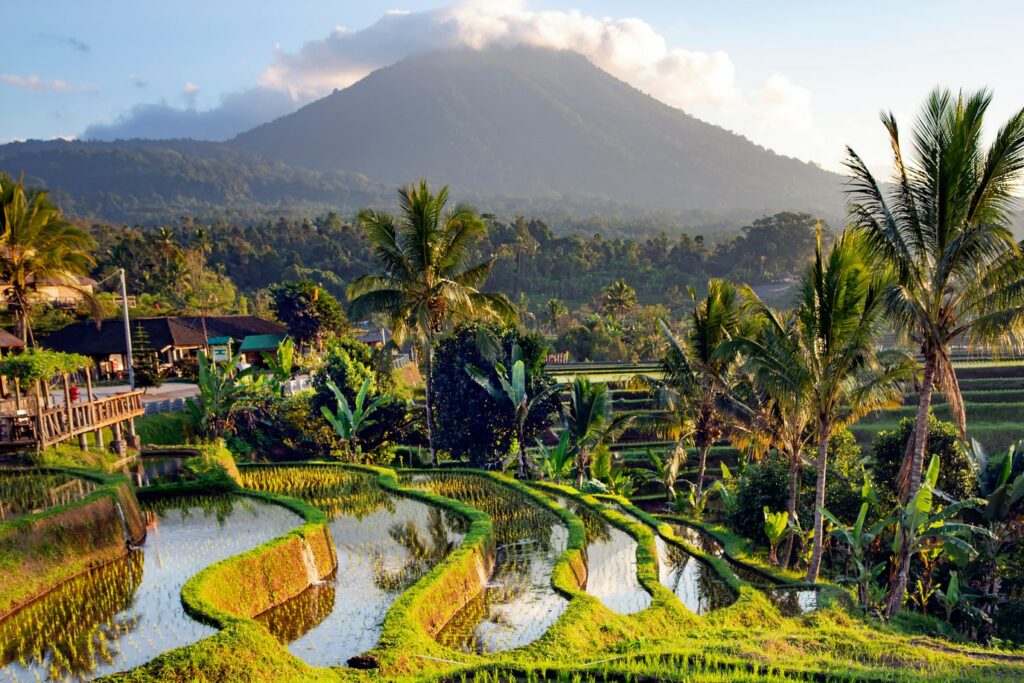 Ubud et ses alentours