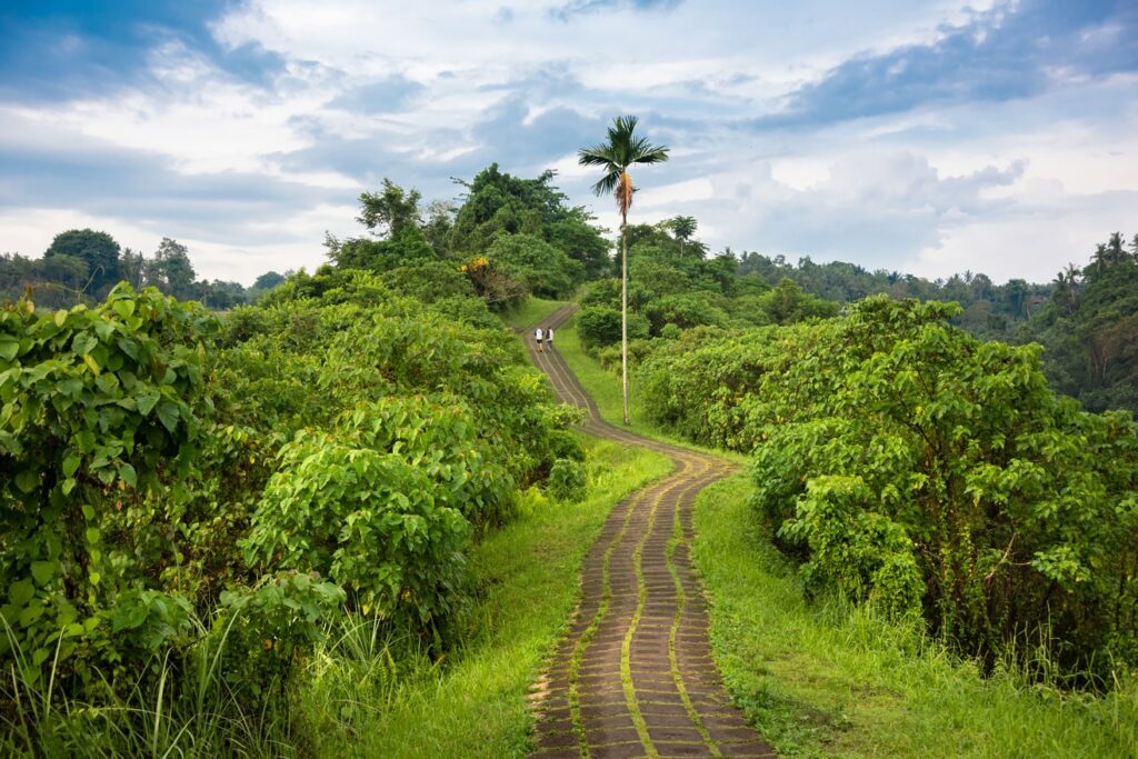 Campuhan ridge walk