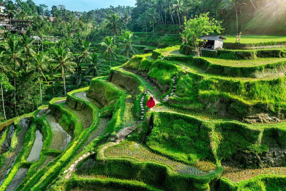 Découvrez le Temple Gunung Kawi : Un Site Sacré et Historique de Bali