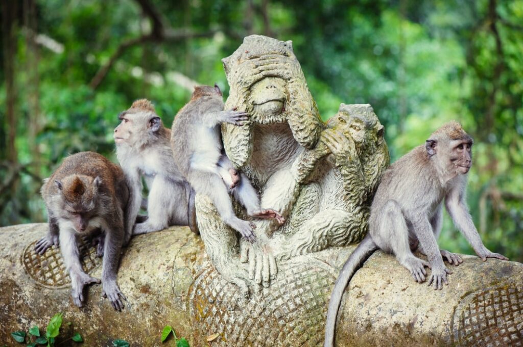 La forêt des singes d'Ubud 