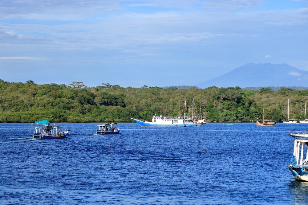 Parc national de Bali Barat