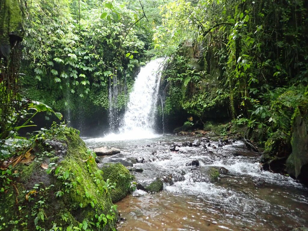 Pura Luhur Batukaru : Un Temple Caché au Cœur de Bali